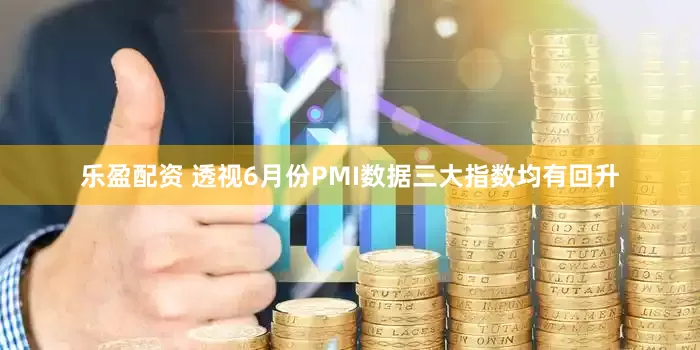 乐盈配资 透视6月份PMI数据三大指数均有回升